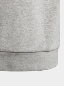 Худи и свитшоты Adidas TREFOIL ORIGINALS модель GE1979 Фото