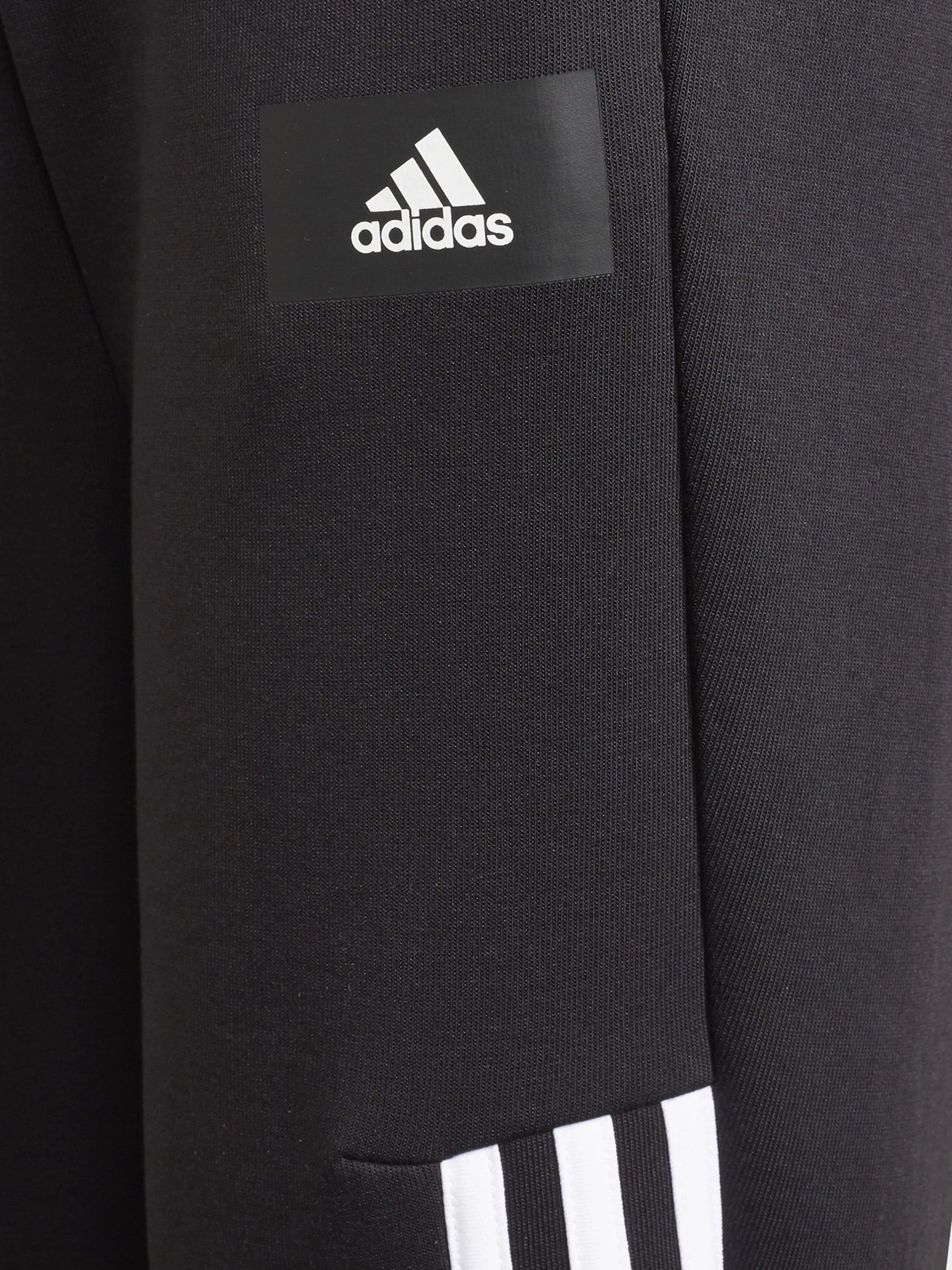Брюки Adidas FUTURE ICONS 3-STRIPES SPORTSW модель GT9433 Фото