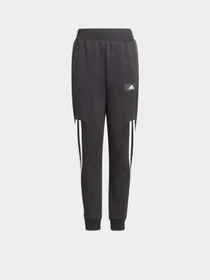 Брюки Adidas FUTURE ICONS 3-STRIPES SPORTSW модель GT9433 Фото