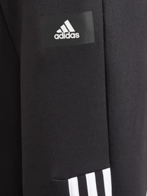Брюки Adidas FUTURE ICONS 3-STRIPES SPORTSW модель GT9433 Фото