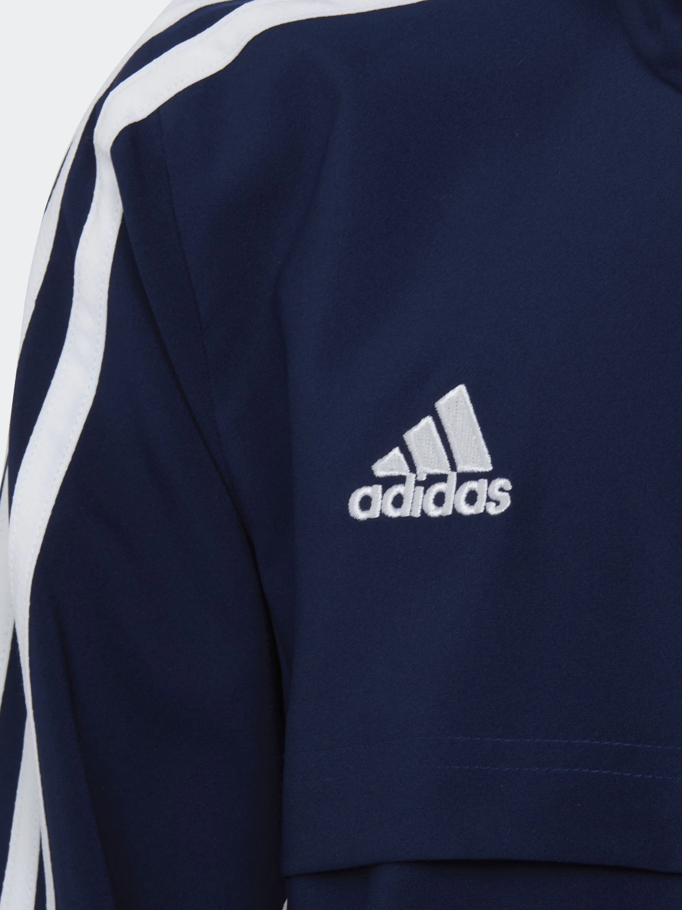 Худи и свитшоты Adidas CONDIVO 22 PRESENTATION PERFOR модель H21286 Худи и свитшоты Adidas CONDIVO 22 PRESENTATION PERFOR модель H21286 Фото
