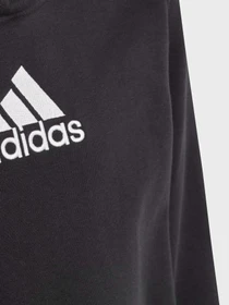 Худі та світшоти Adidas BRAND LOVE ALLOVER PRINT модель HR6349 Фото