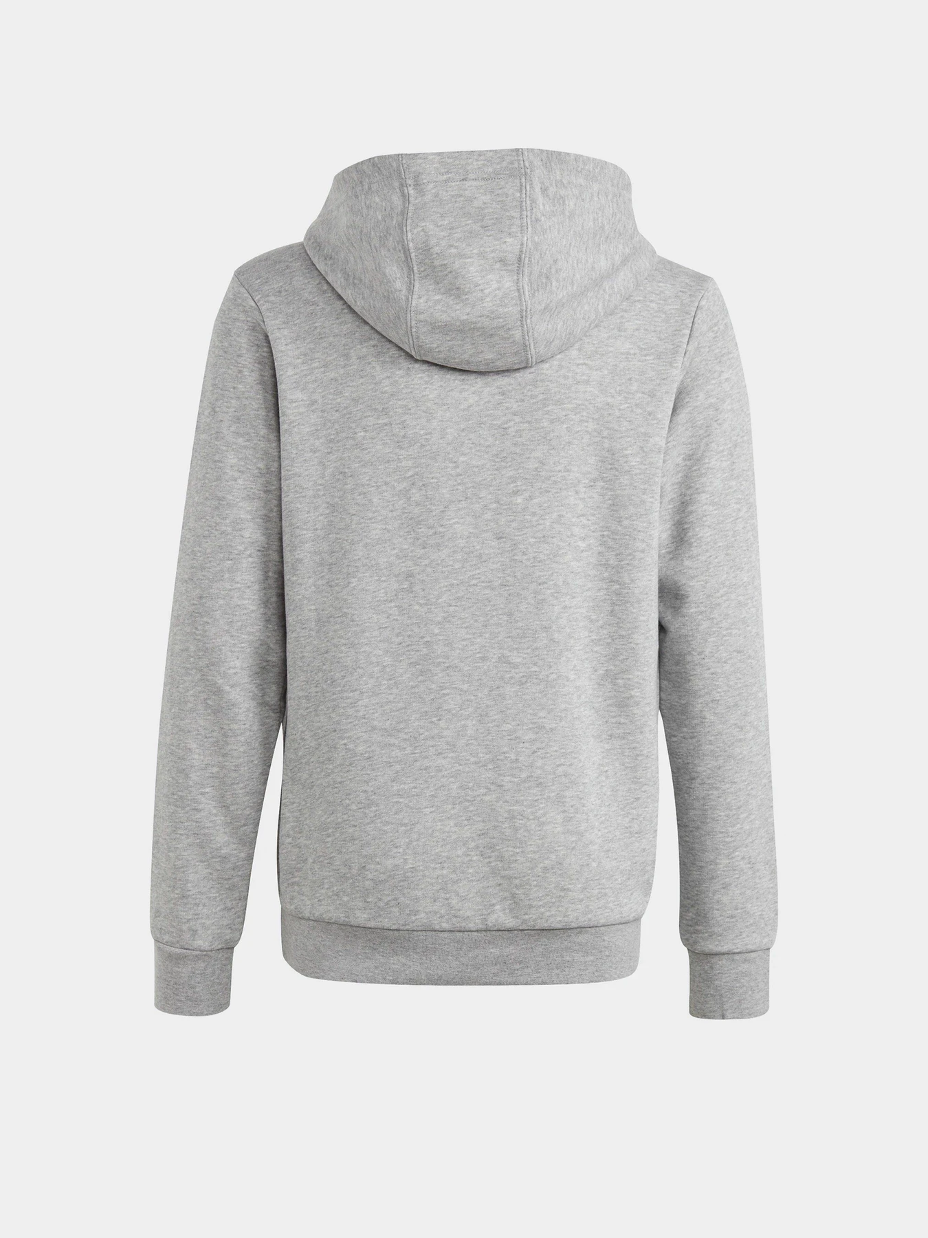 Худи и свитшоты Adidas BIG LOGO ESSENTIALS модель IC6835 Фото