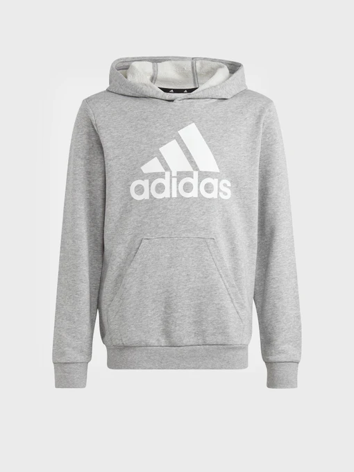 Худі та світшоти Adidas BIG LOGO ESSENTIALS модель IC6835 Фото
