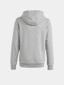 Худи и свитшоты Adidas BIG LOGO ESSENTIALS модель IC6835 Фото