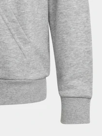 Худи и свитшоты Adidas BIG LOGO ESSENTIALS модель IC6835 Фото