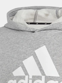 Худи и свитшоты Adidas BIG LOGO ESSENTIALS модель IC6835 Фото