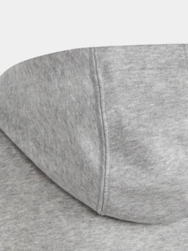 Худи и свитшоты Adidas BIG LOGO ESSENTIALS модель IC6835 Фото