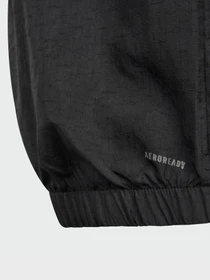 Куртки и дубленки Adidas CITY ESCAPE LIGHTWEIGHT модель IN2841 Фото