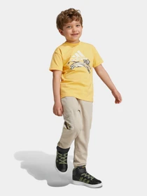 Брюки Adidas DISNEY LION KING модель IV9642 Фото
