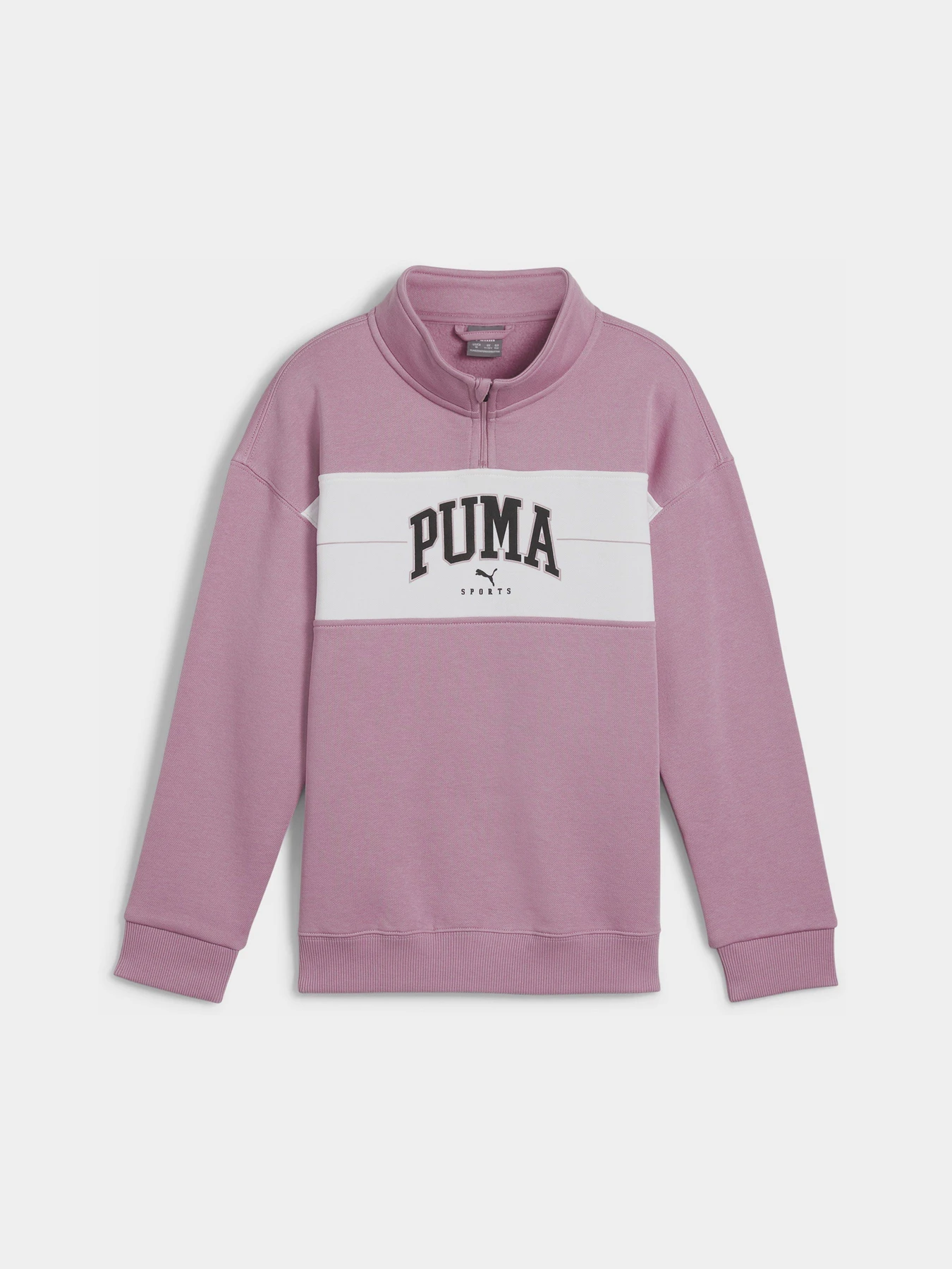 Худи и свитшоты PUMA SQUAD HALF-ZIP модель 68178348 Фото