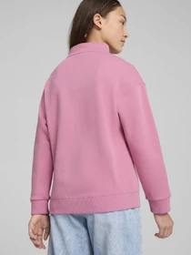 Худи и свитшоты PUMA SQUAD HALF-ZIP модель 68178348 Фото