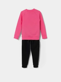 Костюмы Adidas ESSENTIALS LOGO FLEECE модель IX7319 Фото