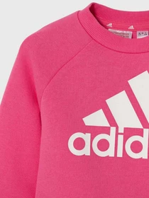 Костюмы Adidas ESSENTIALS LOGO FLEECE модель IX7319 Фото