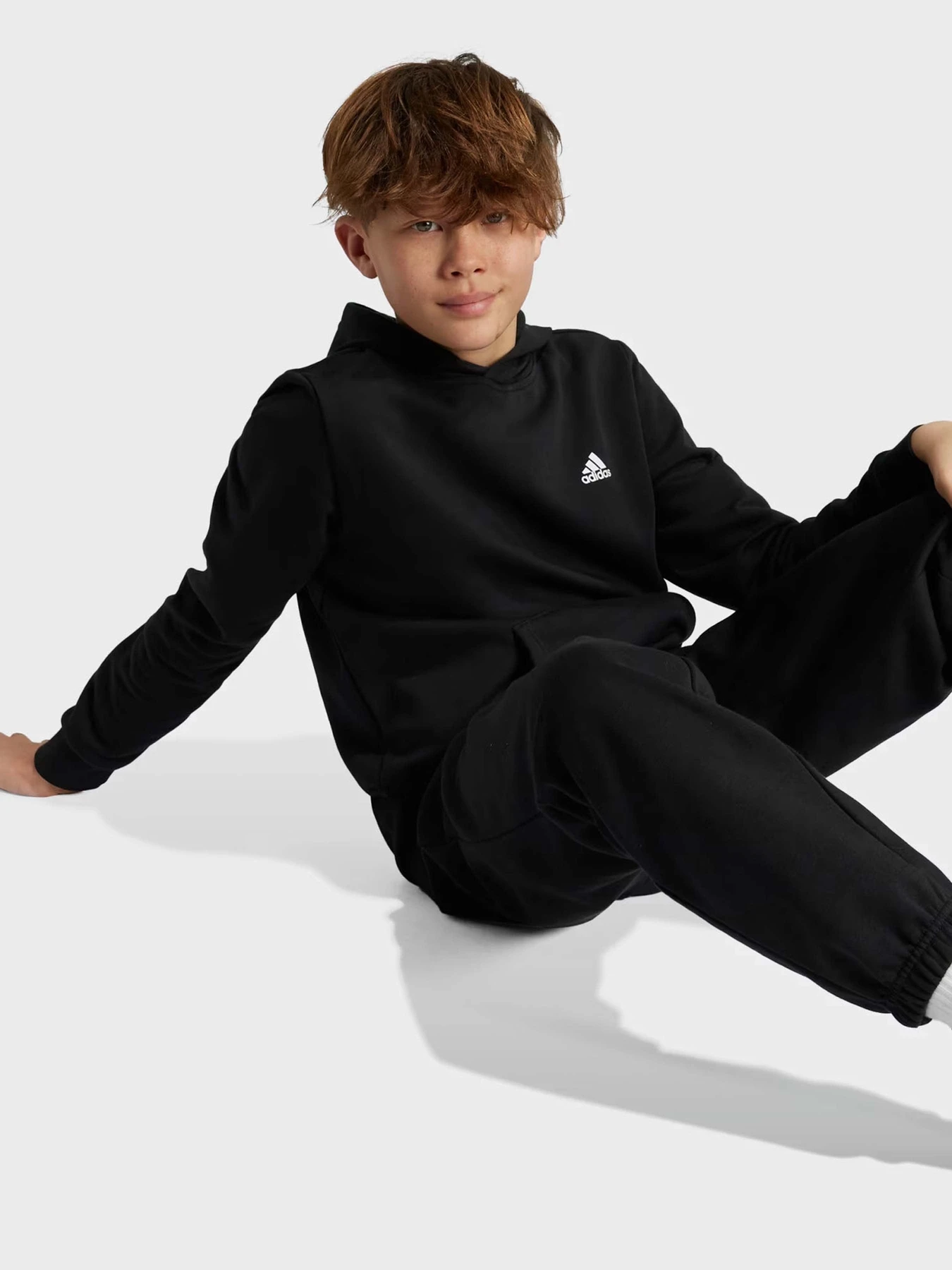 Худи и свитшоты Adidas ESSENTIALS SMALL LOGO FEEL COZ модель IV7310 Фото