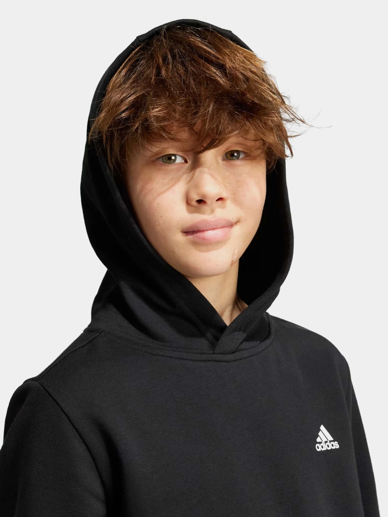 Худи и свитшоты Adidas ESSENTIALS SMALL LOGO FEEL COZ модель IV7310 Фото