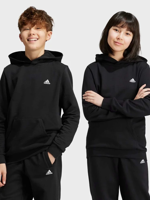 Худі та світшоти Adidas ESSENTIALS SMALL LOGO FEEL COZ модель IV7310 Фото