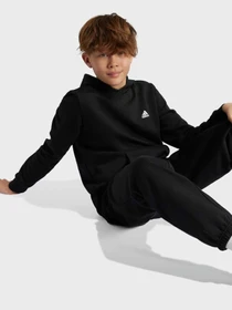Худи и свитшоты Adidas ESSENTIALS SMALL LOGO FEEL COZ модель IV7310 Фото