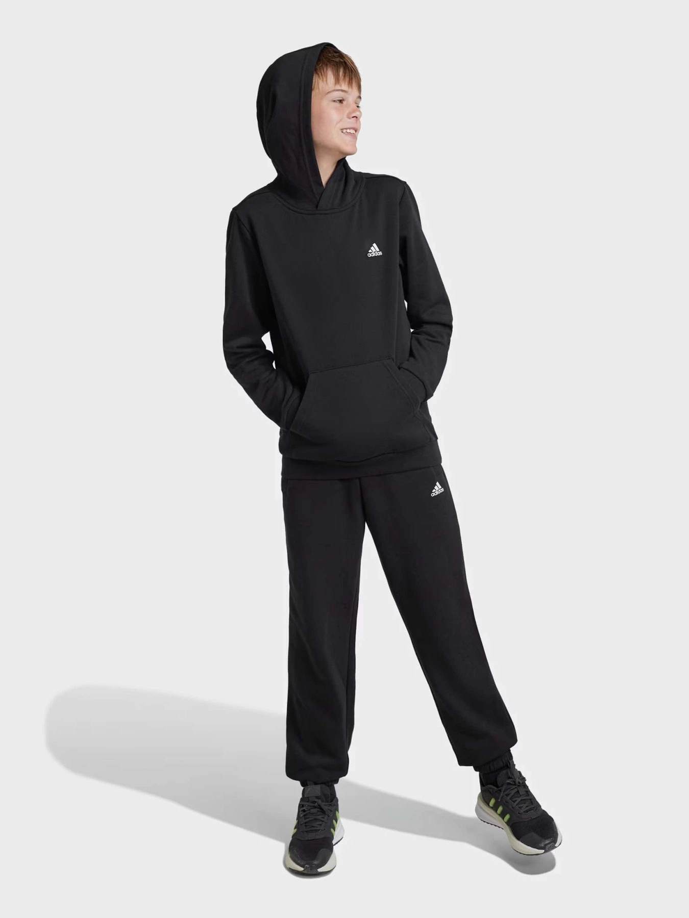 Брюки Adidas ESSENTIALS SMALL LOGO FEEL COZ модель IV7311 Брюки Adidas ESSENTIALS SMALL LOGO FEEL COZ модель IV7311 Фото