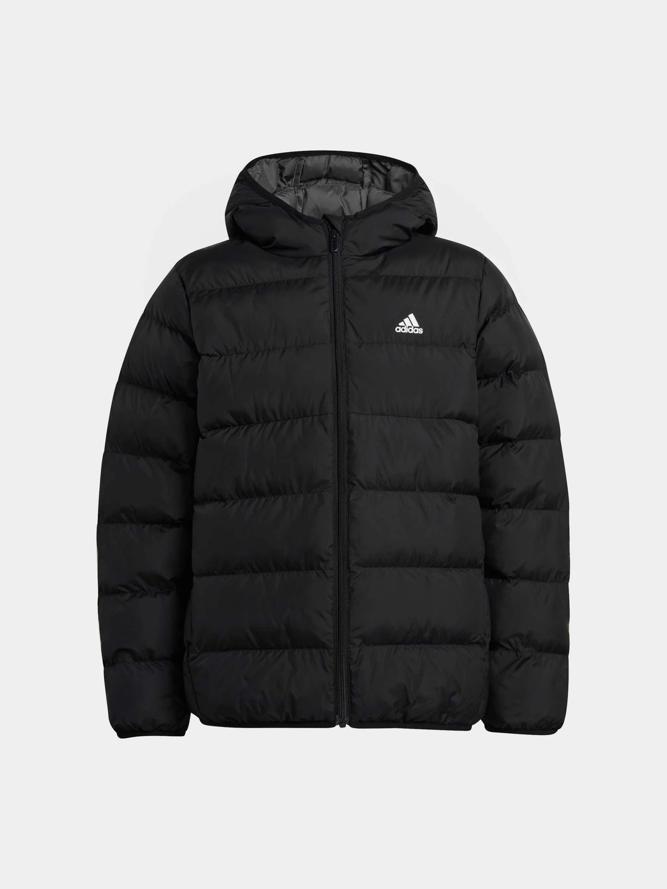Куртки и дубленки Adidas SYNTHETIC DOWN модель IV9505 Куртки и дубленки Adidas SYNTHETIC DOWN модель IV9505 Фото