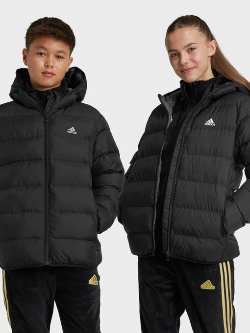 Куртки и дубленки Adidas SYNTHETIC DOWN модель IV9505 Фото