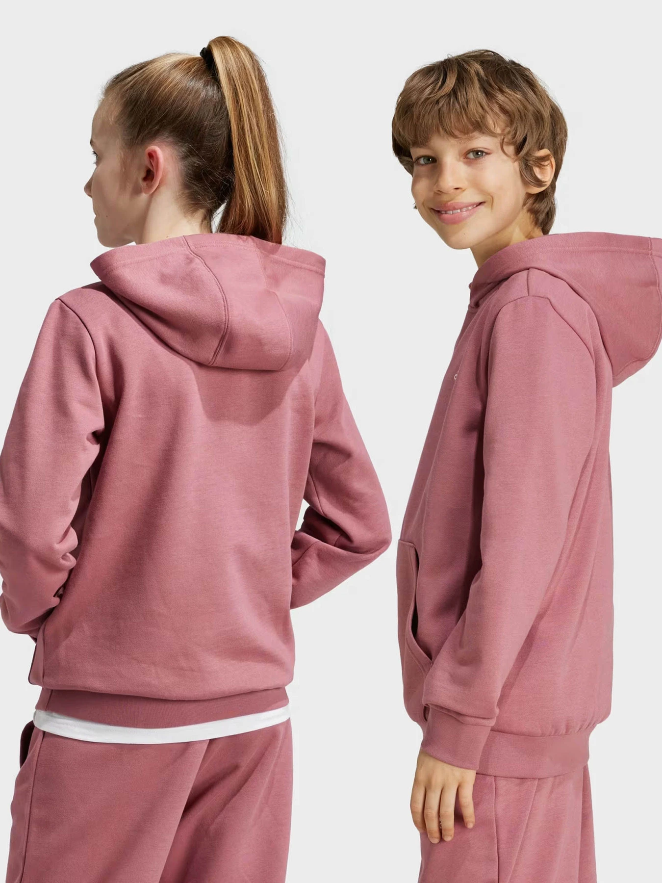 Худи и свитшоты Adidas ESSENTIALS SMALL LOGO модель IX9509 Худи и свитшоты Adidas ESSENTIALS SMALL LOGO модель IX9509 Фото