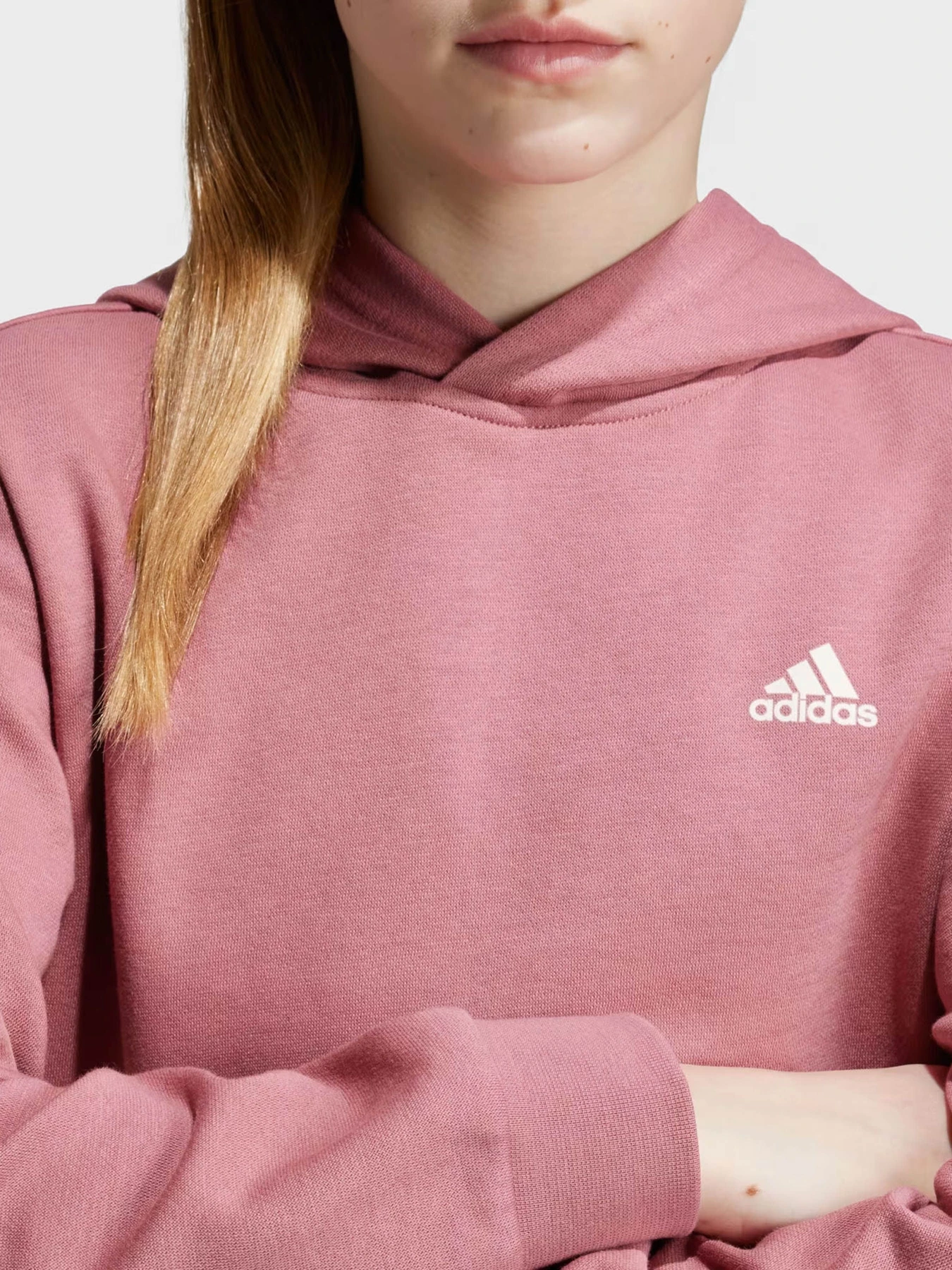 Худи и свитшоты Adidas ESSENTIALS SMALL LOGO модель IX9509 Худи и свитшоты Adidas ESSENTIALS SMALL LOGO модель IX9509 Фото