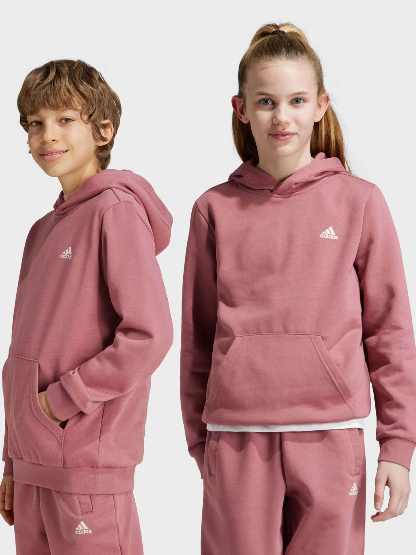 Худи и свитшоты Adidas ESSENTIALS SMALL LOGO модель IX9509 Худи и свитшоты Adidas ESSENTIALS SMALL LOGO модель IX9509 Фото