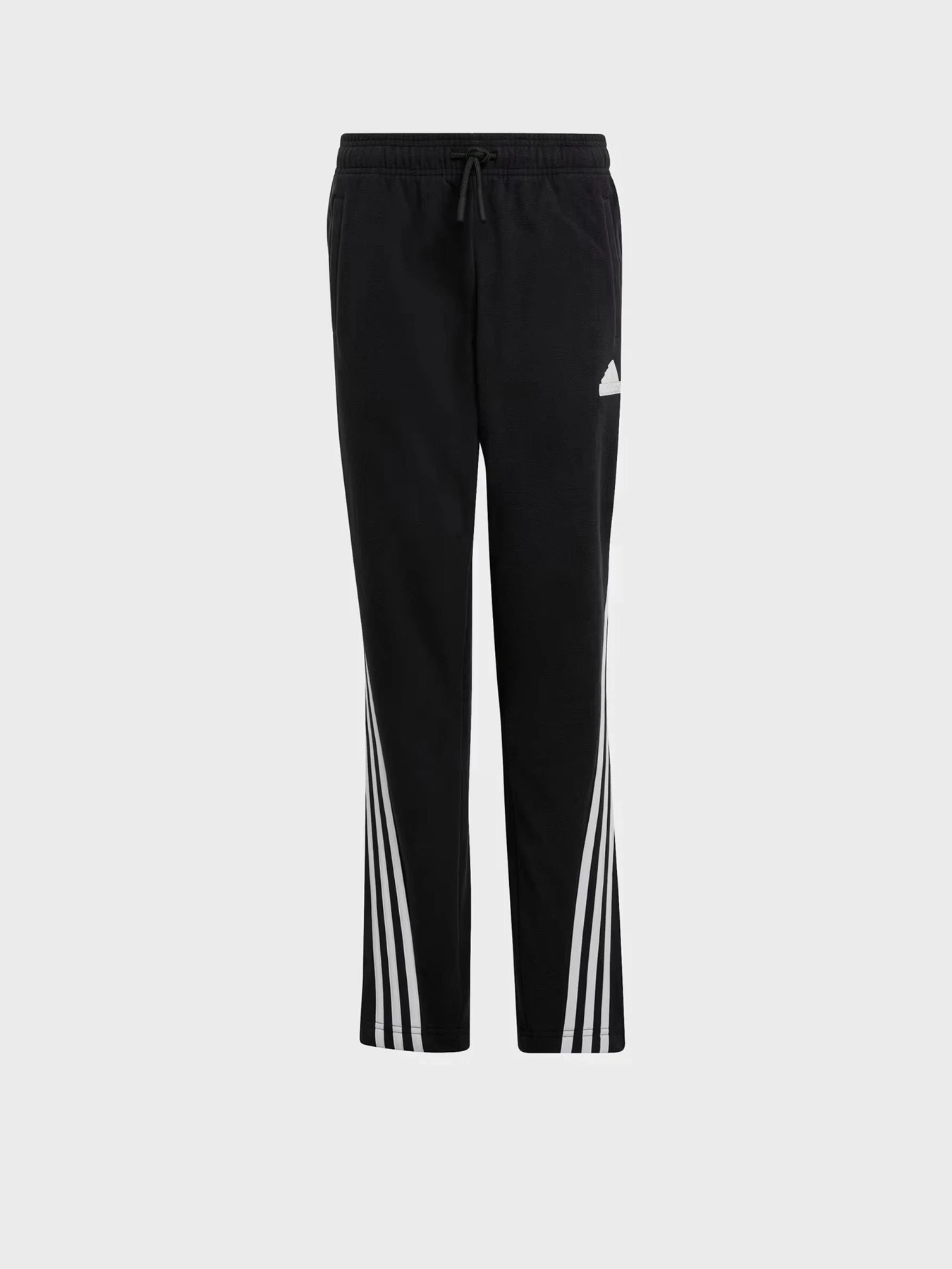 Брюки Adidas FUTURE ICONS FLEECE модель JF2514 Брюки Adidas FUTURE ICONS FLEECE модель JF2514 Фото