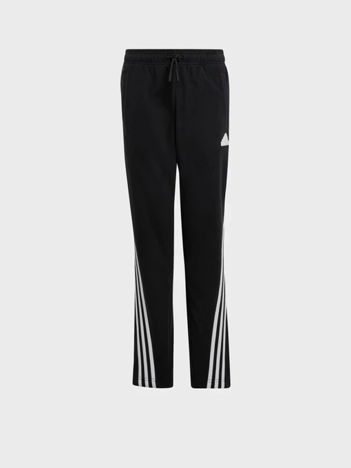 Штани Adidas FUTURE ICONS FLEECE модель JF2514 Фото