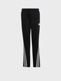 Штани Adidas FUTURE ICONS FLEECE модель JF2514 Фото