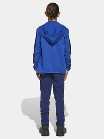 Костюмы Adidas 3 STRIPES модель JE0311 Фото