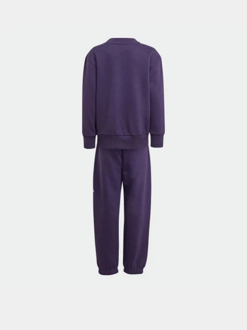 Костюми Adidas Essentials Kids модель JW2439 Фото