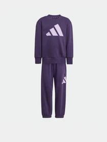 Костюмы Adidas Essentials Kids модель JW2439 Фото