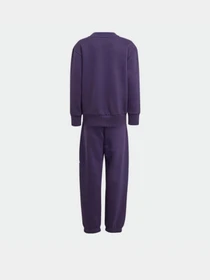 Костюмы Adidas Essentials Kids модель JW2439 Фото