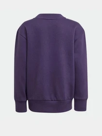 Костюмы Adidas Essentials Kids модель JW2439 Фото