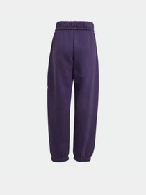 Костюмы Adidas Essentials Kids модель JW2439 Фото