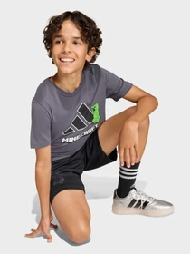 Футболки и поло Adidas MINECRAFT TRAINING модель KD6874 Фото