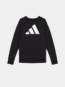 Костюмы Adidas ESSENTIALS модель KE1227 Фото