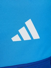 Рюкзаки Adidas SEASONAL ESSENTIALS COLORBLOCK модель KE0389 Фото