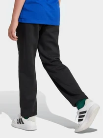 Брюки Adidas ESSENTIALS модель JC9765 Фото
