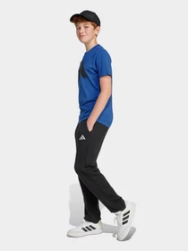 Брюки Adidas ESSENTIALS модель JC9765 Фото