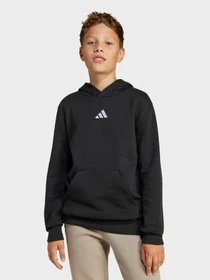 Худи и свитшоты Adidas ESSENTIALS модель JC9772 Фото