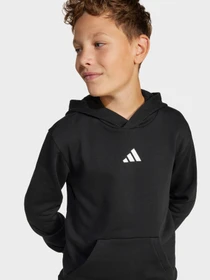 Худи и свитшоты Adidas ESSENTIALS модель JC9772 Фото