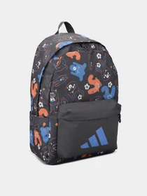 Рюкзаки Adidas KIDS TRNSTR BP 22,8 L модель KE0437 Фото