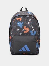 Рюкзаки Adidas KIDS TRNSTR BP 22,8 L модель KE0437 Фото