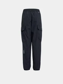Штани Adidas TERREX KIDS XPLORIC CLIMA365 C модель KA9774 Фото