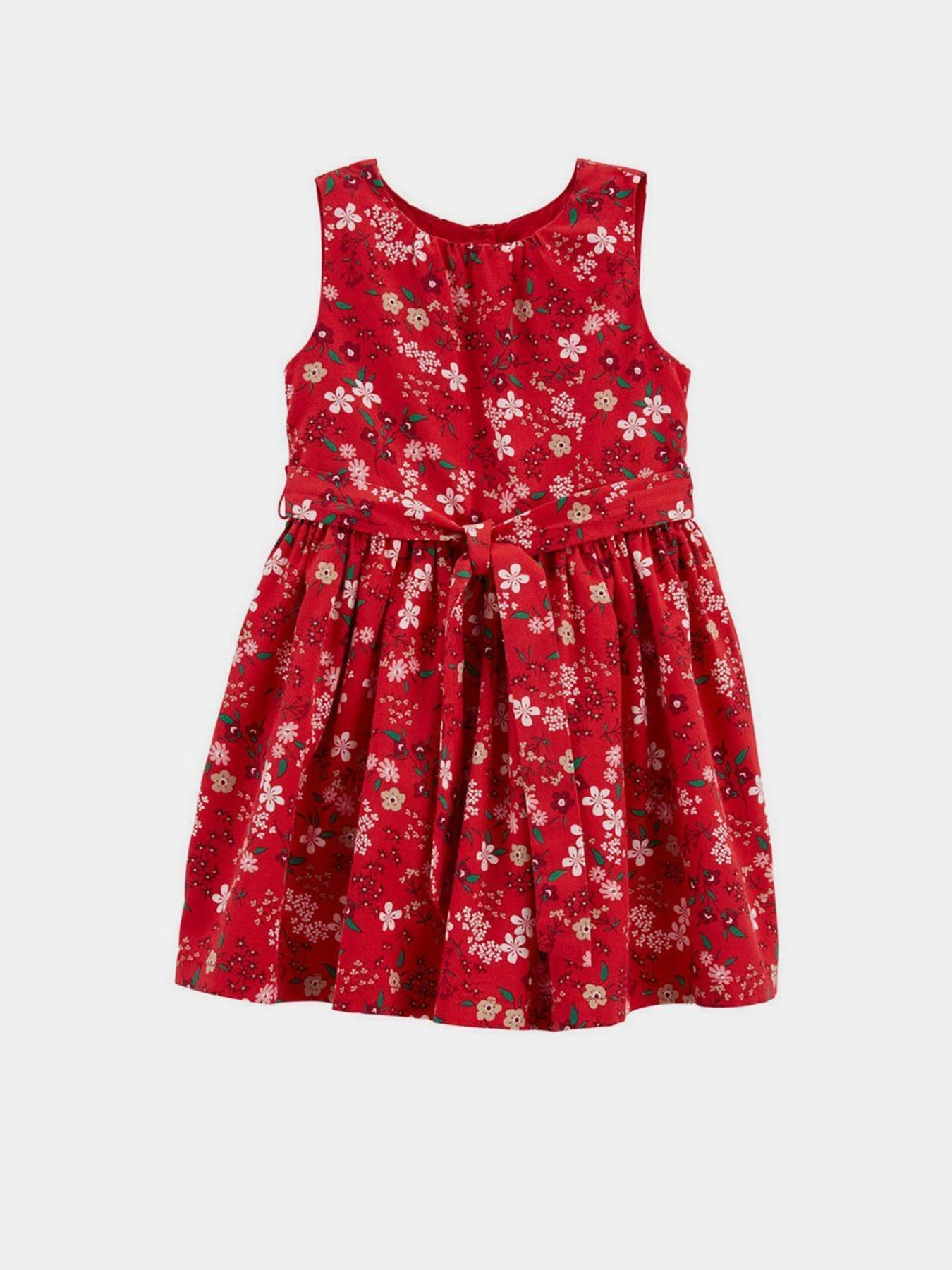 Сукні Carter’s модель 2M025710-multi Фото