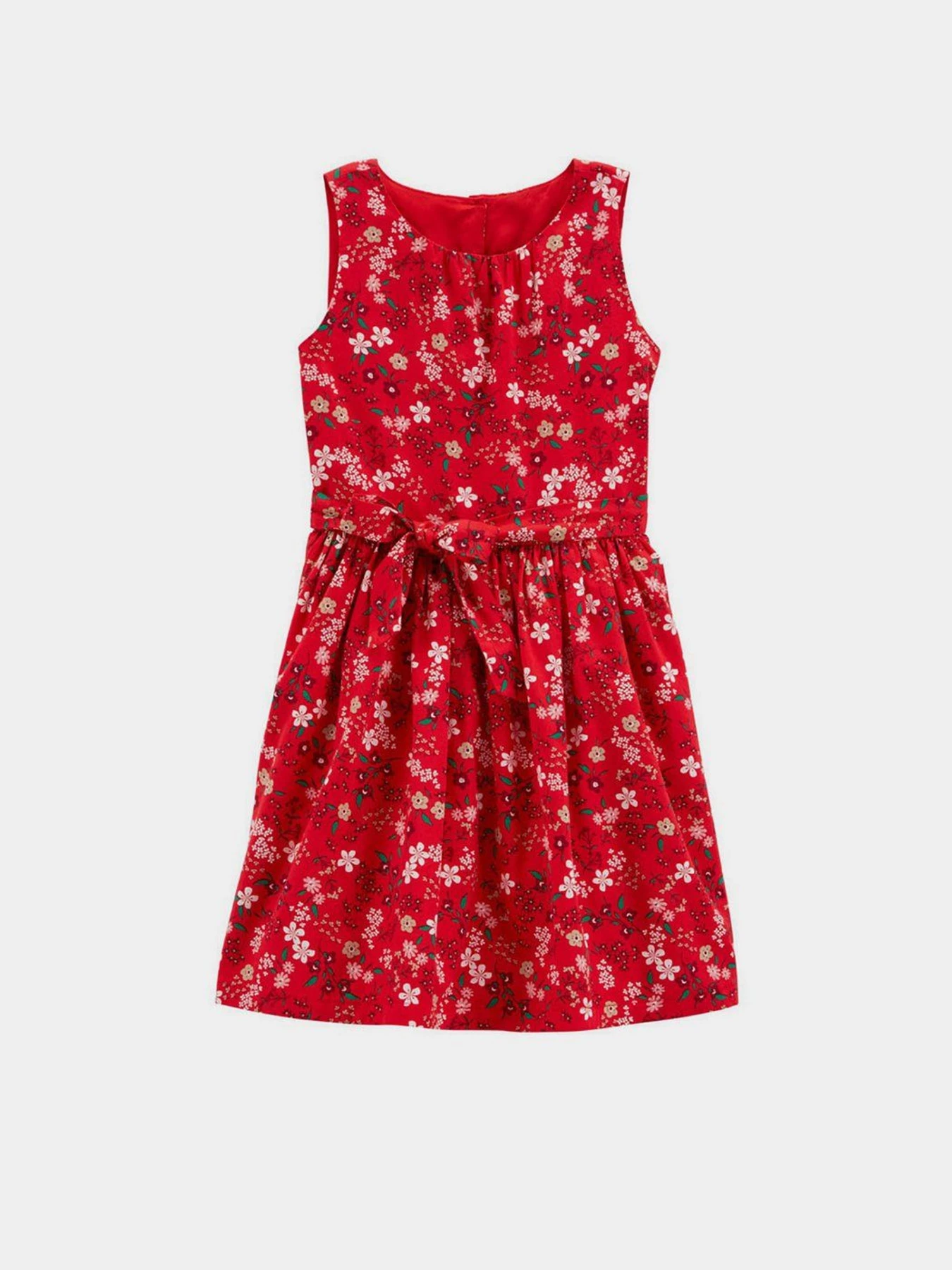 Сукні Carter’s модель 3M026310-multi Фото