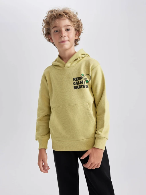 Худи и свитшоты DeFacto модель A8597A8-KH446 Фото